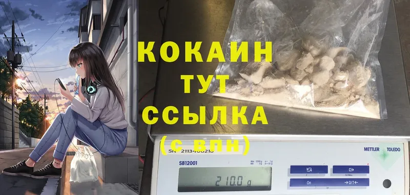 купить закладку  Добрянка  COCAIN Fish Scale 