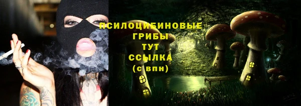 бошки Михайловка